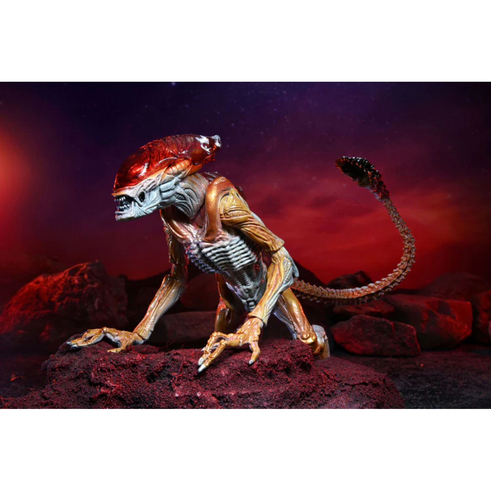 Aliens: Kenner Tribute Ultimate Panther 7″ Scale Action Figure by NECA