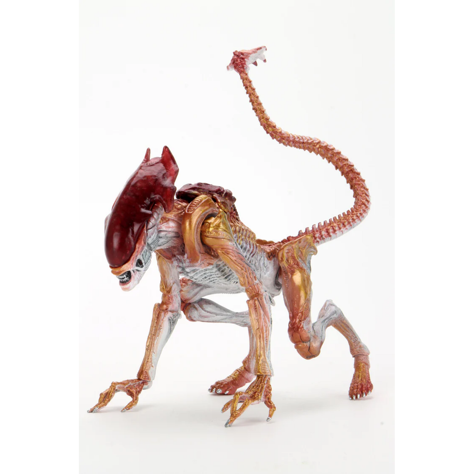 Aliens: Kenner Tribute Ultimate Panther 7″ Scale Action Figure by NECA