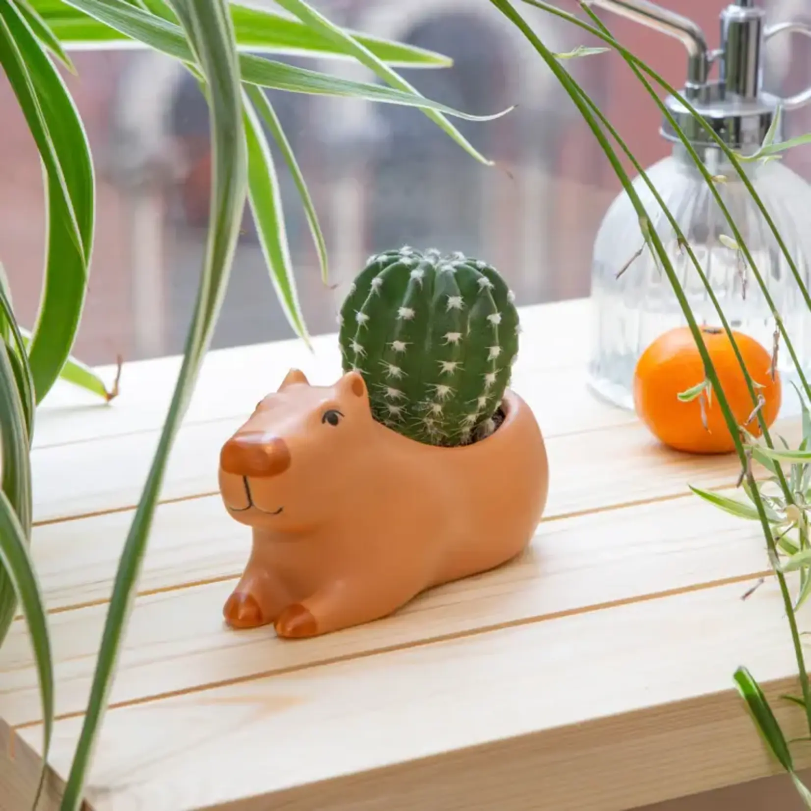 Cappy the Capybara Planter - Small