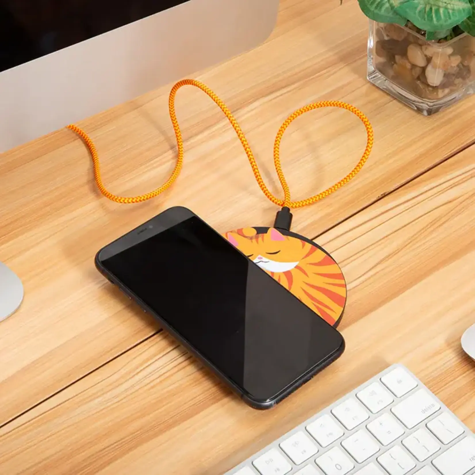 Sleepy Cat Wireless Charger