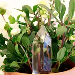 Crystal Plant Feeder