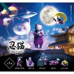 Ninja Cat Surprise Figure