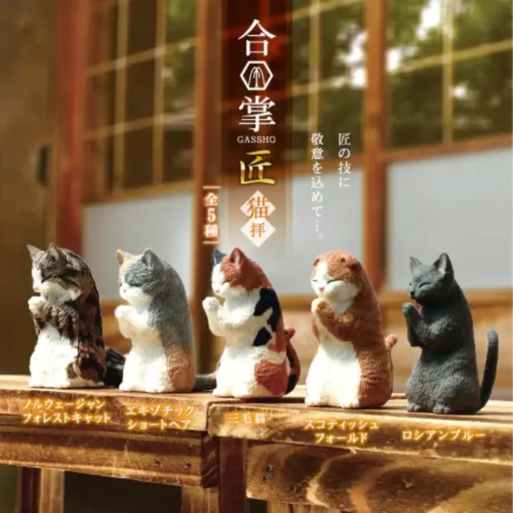 Wishing Cats V2 Surprise Figurine