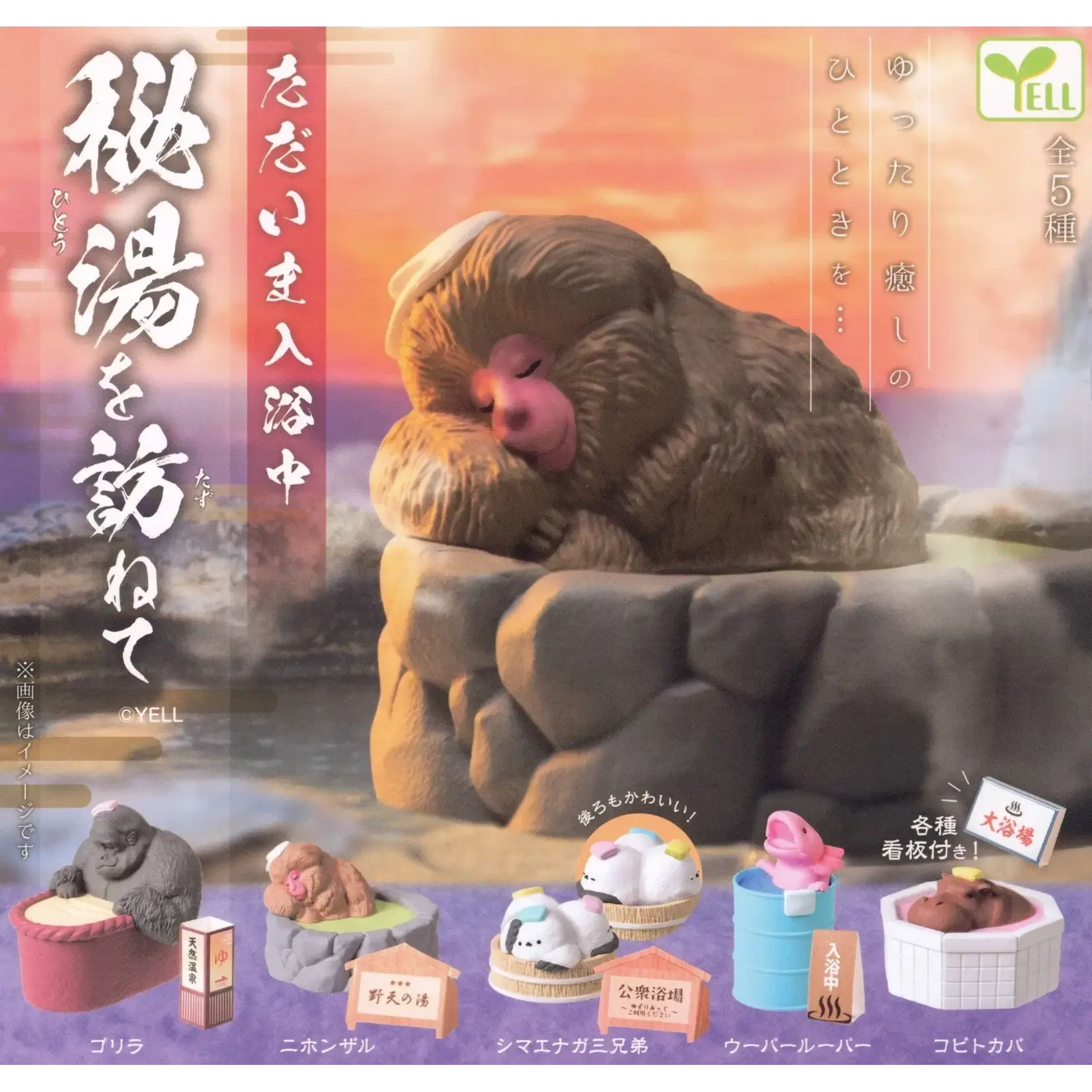 Hot Spring Animals V3 Surprise Figurine