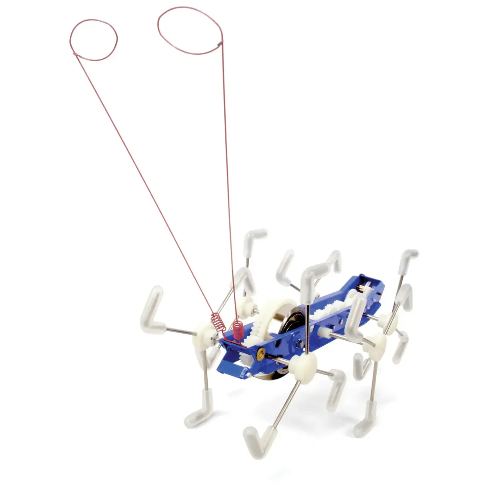 MxyKikker Wind Up Mechanical Critter