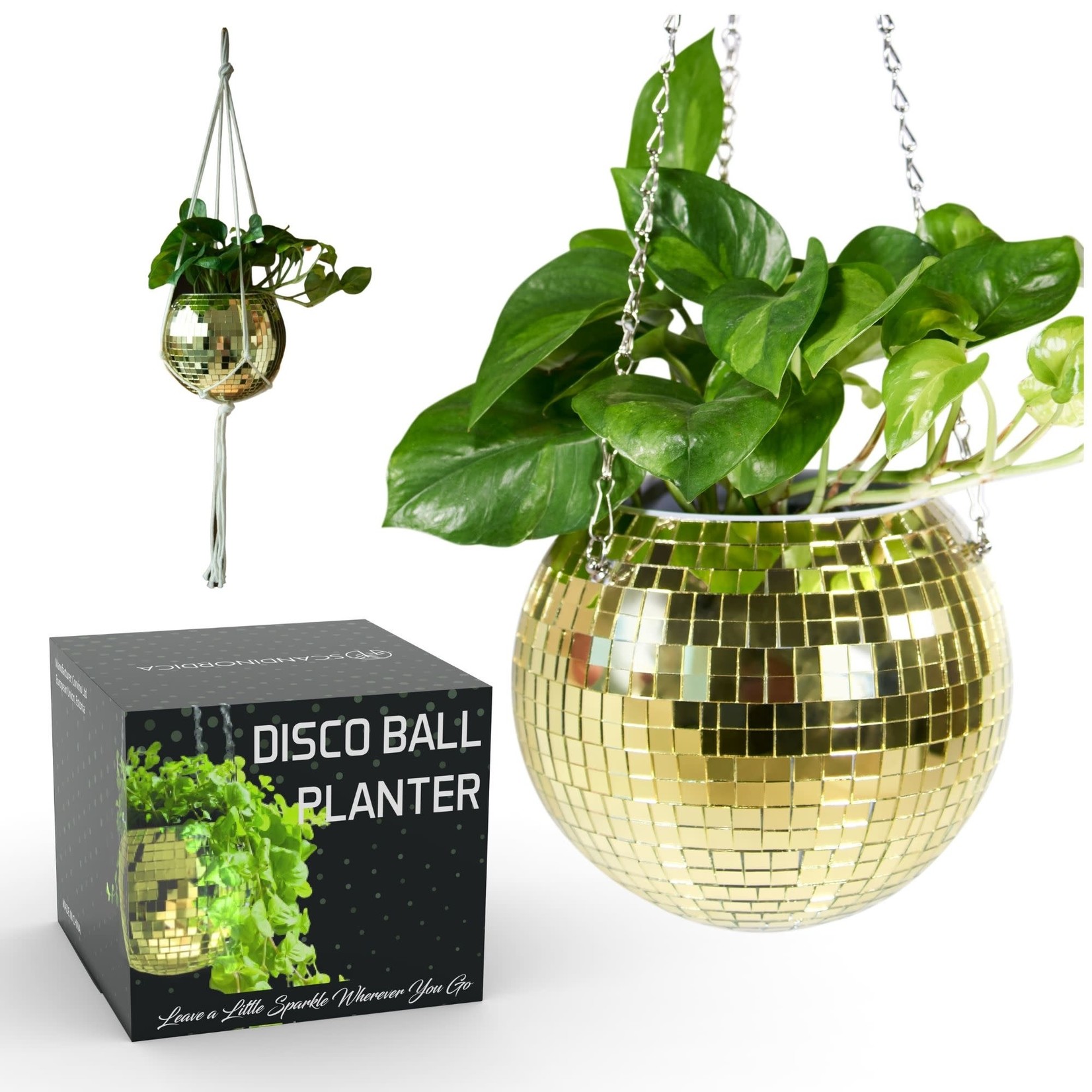 8” Gold Disco Planter - GROW Giesen Plant Shop