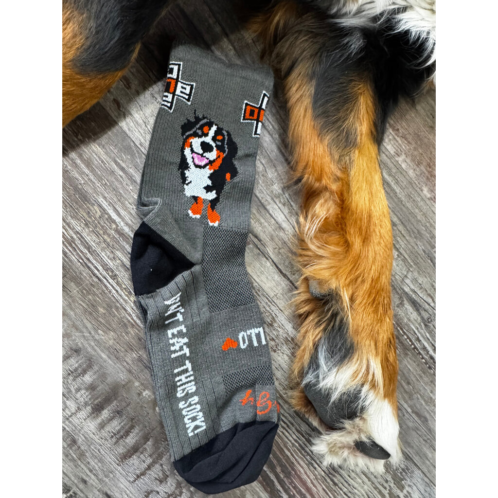 SockGuy Apollo Don't Eat Me Sock LG/XL