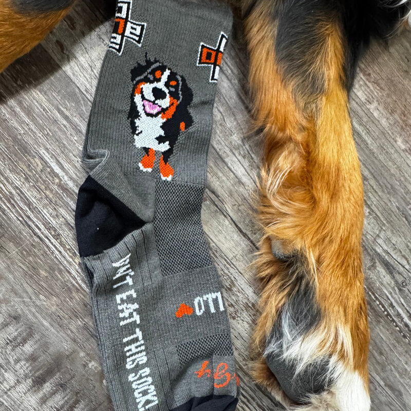 SockGuy Apollo Don't Eat Me Sock LG/XL