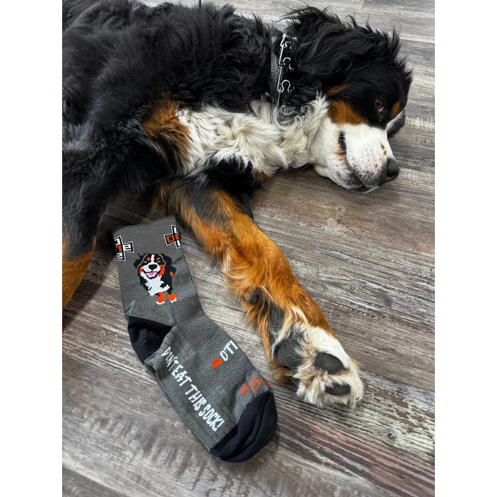 SockGuy Apollo Don't Eat Me Sock SM/MD