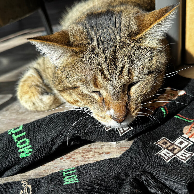 SockGuy Motorhead Wool Sock SM/MD