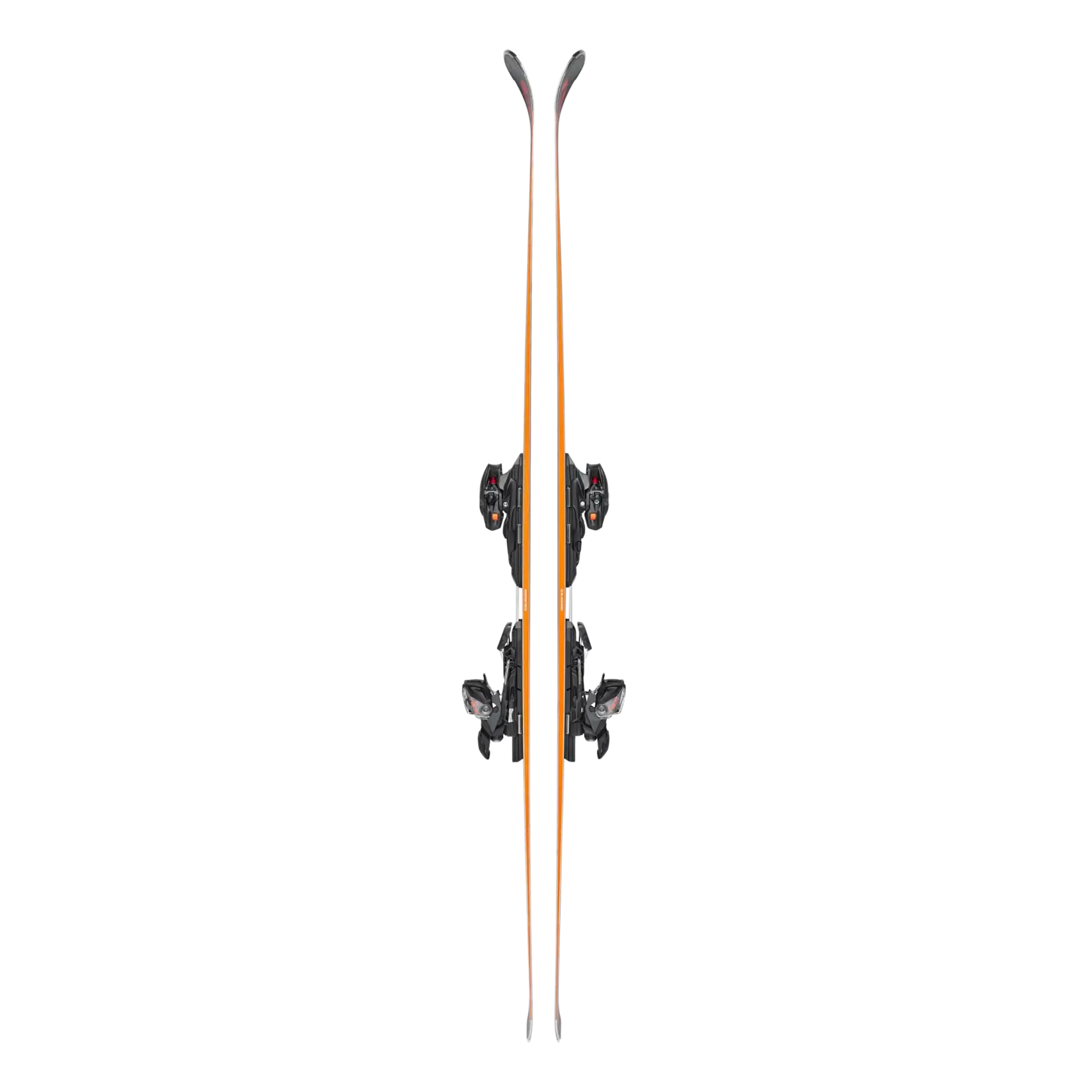 Blizzard Blizzard Firebird HRC 2024