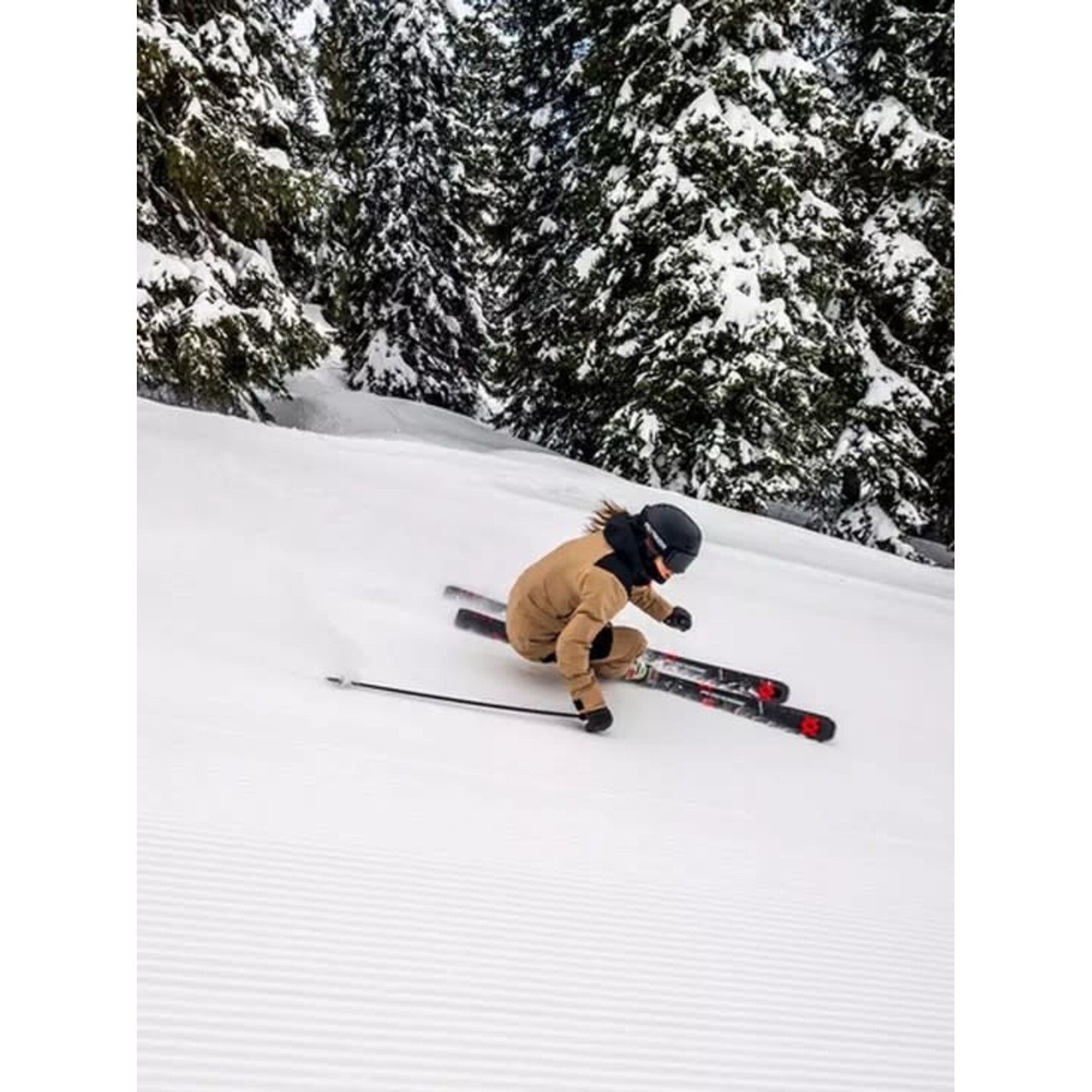 Volkl Volkl PEREGRINE 80 LOWRIDE 24/25