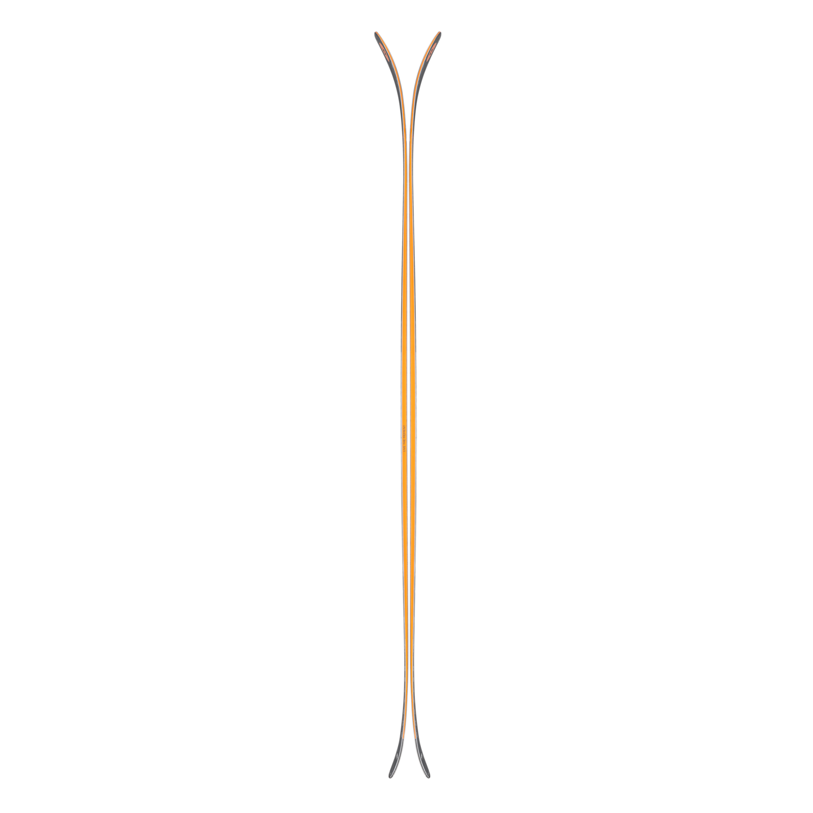 Blizzard Blizzard Rustler 10 2025