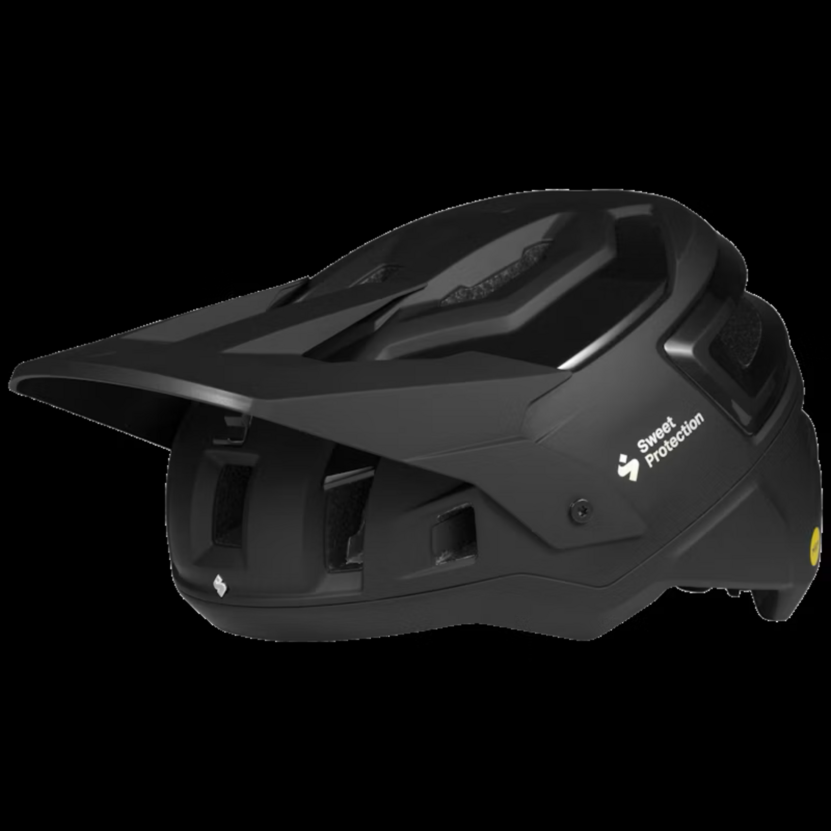 Sweet Protection Sweet Protection Bushwacker 2Vi MIPS helmet