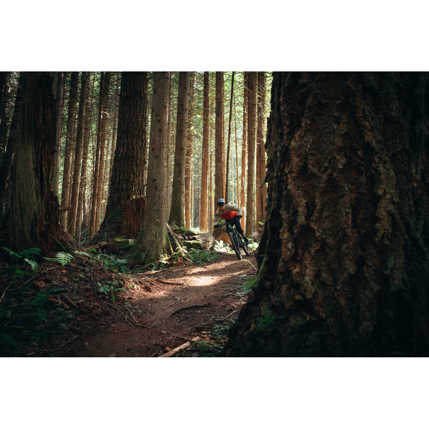 Marin Marin Rift Zone 2