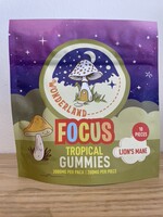 Wonderland Wonderland Focus Gummies – Lion’s Mane