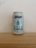 Saucy Saucy Seltzer Soar 10mg THC