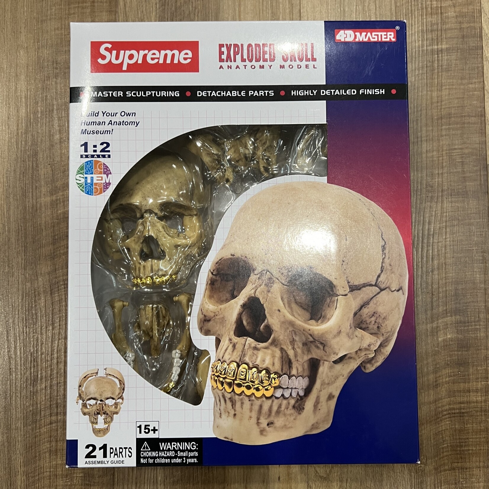 Supreme Supreme 4D Model Human Skull Natural