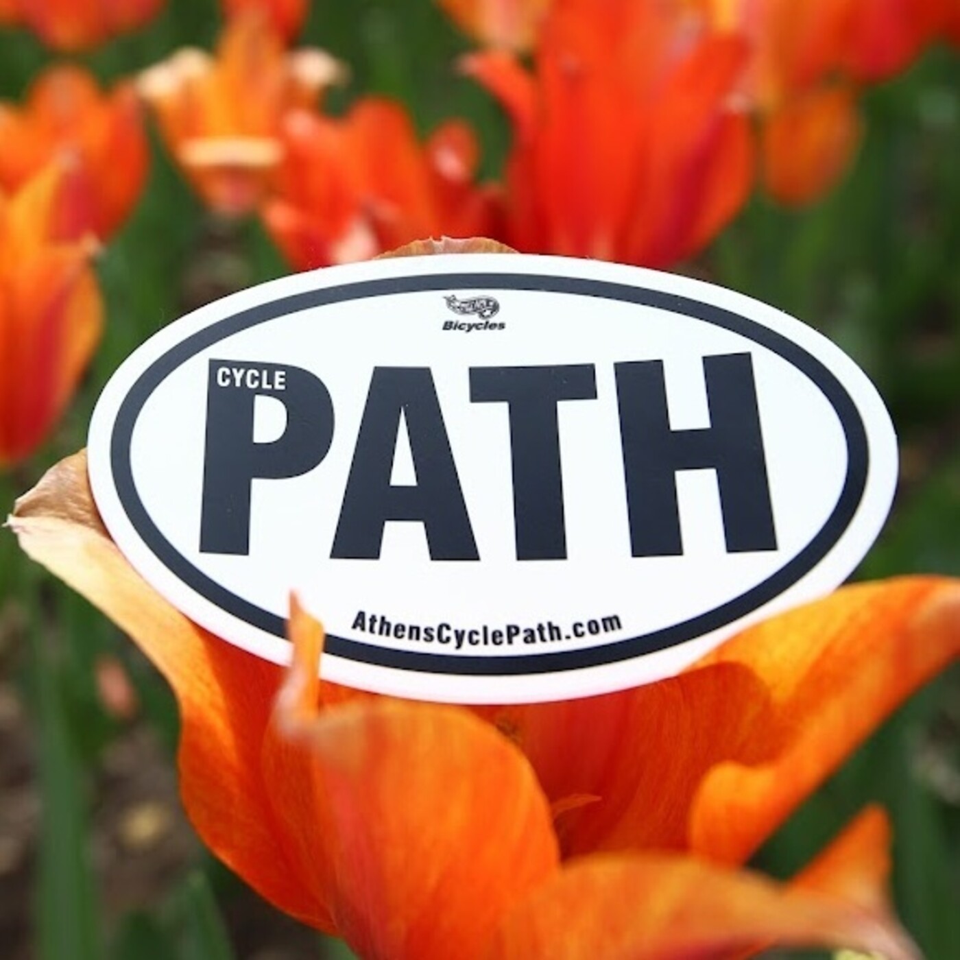 STICKER PATH EURO Cycle Path Bicycles