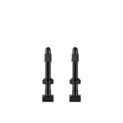 Giant Giant WheelSystem Tubeless Valve Stems for 42mm Rims - 2/Pkg