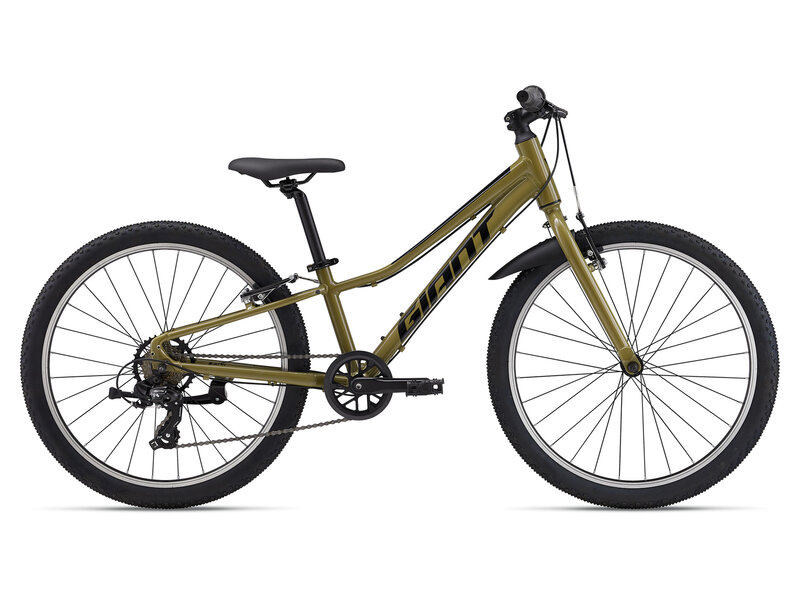 Giant Giant Talon 24 Lite
