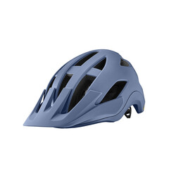 Giant Giant Roost Mips Helmet