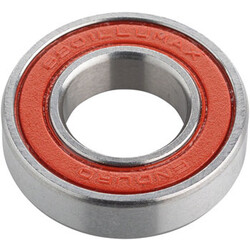 ENDURO BEARING SEALED ENDURO MAX 6901 - 6.24.12