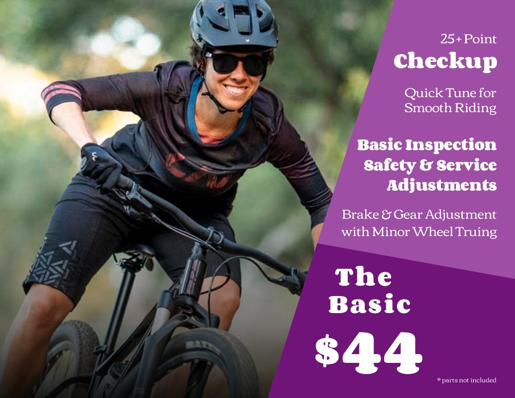 The Basic Checkup Service Package - $44