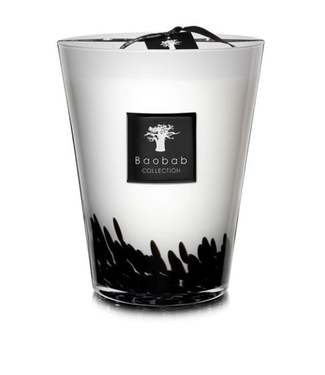 Baobab Baobab Feathers Candle  - Max 24