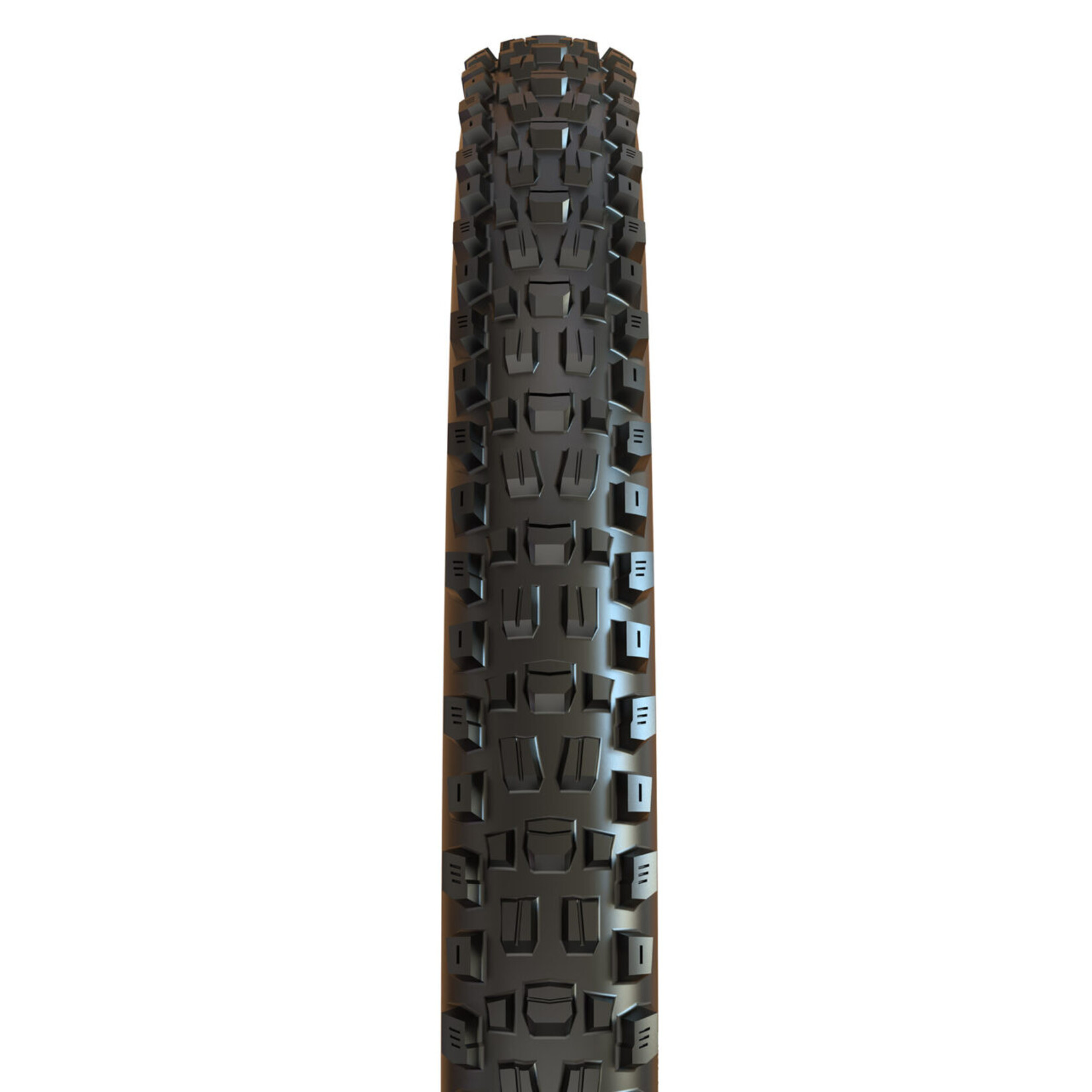 MAXXIS MAXXIS ASSEGAI 29 X 2.50 WT/EXO/TR/60TPI