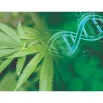 Genetics