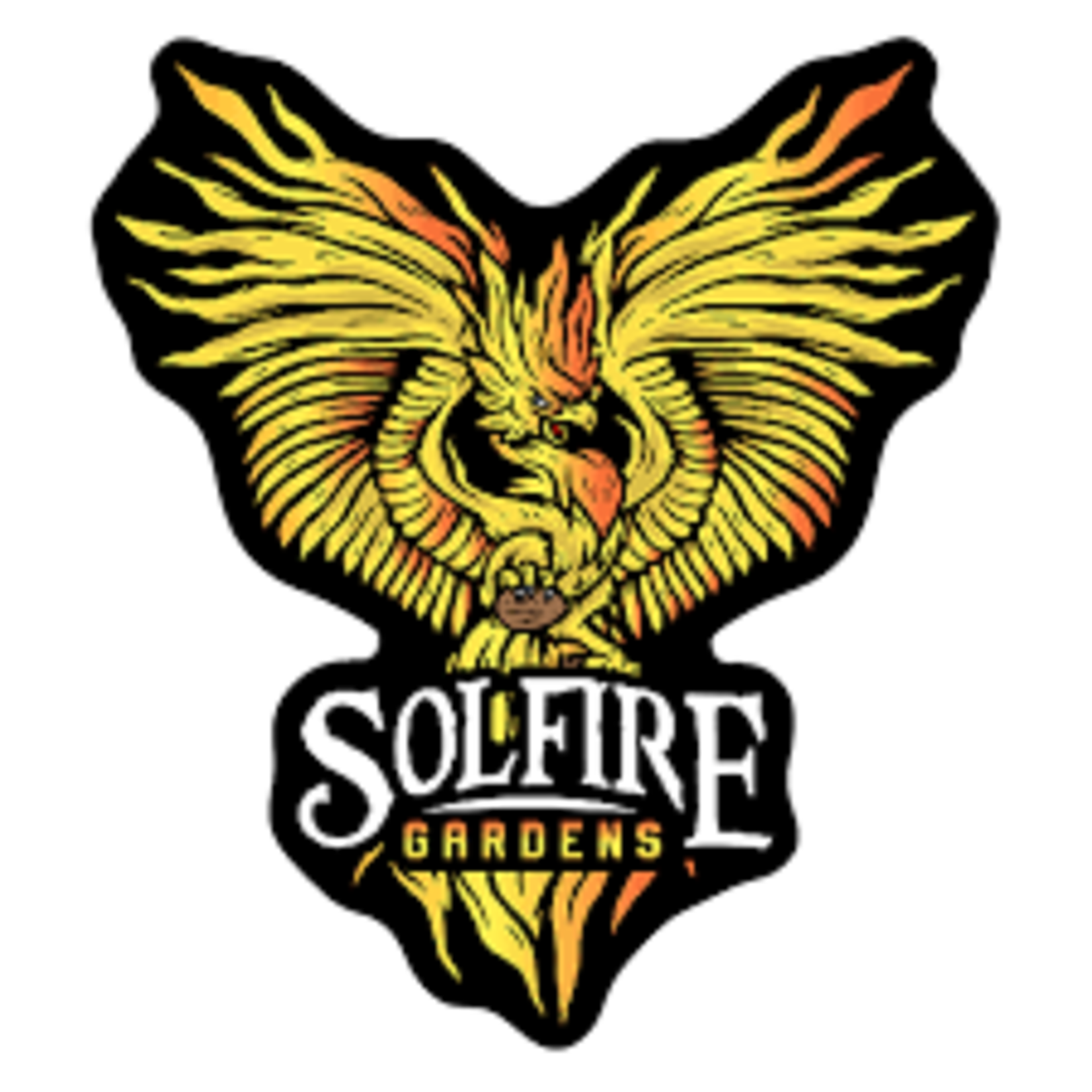 Solfire Gardens Solfire Gardens Phoenix Fire FEM 3 Pack