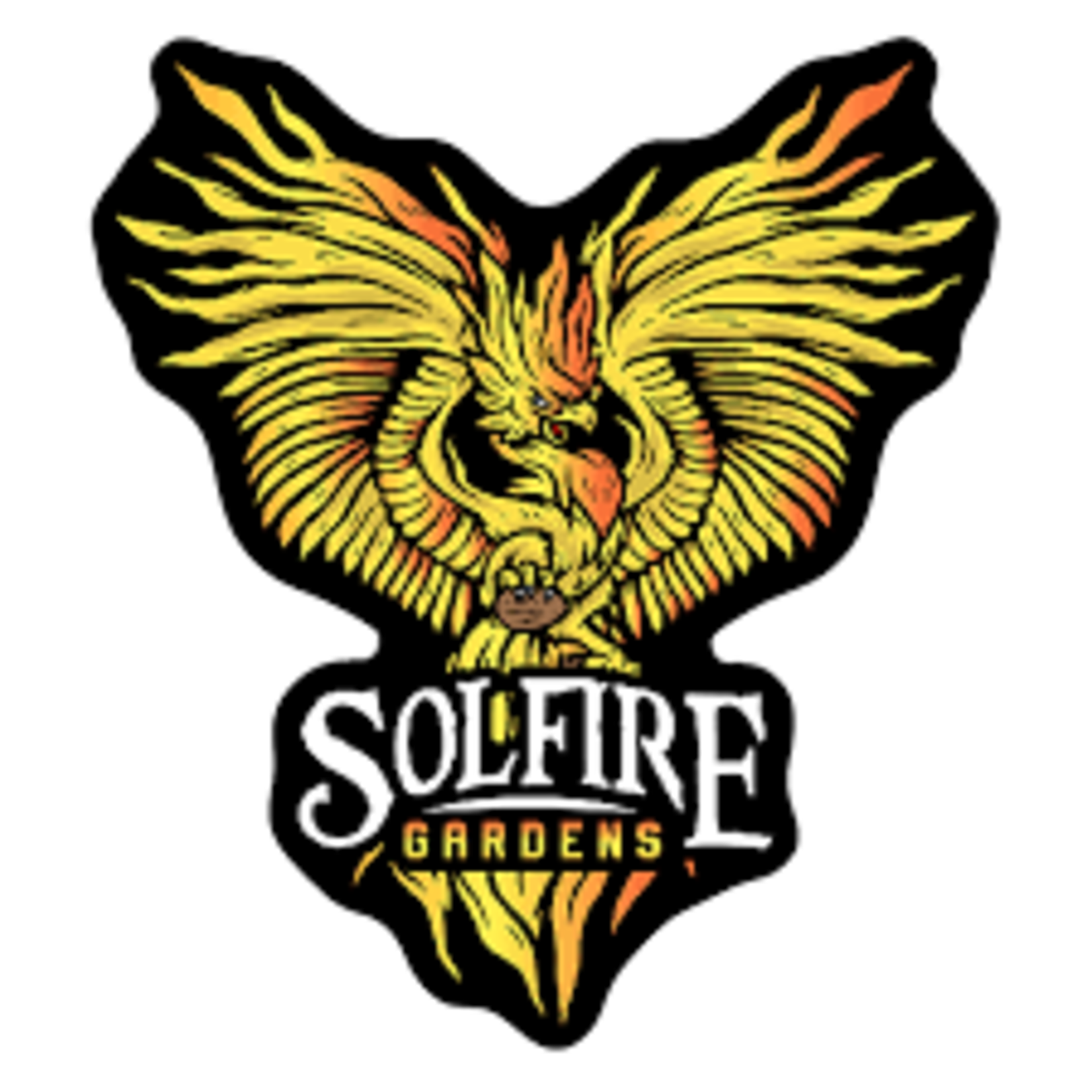 Solfire Gardens Solfire Gardens The Citrus Black REG 12 Pack