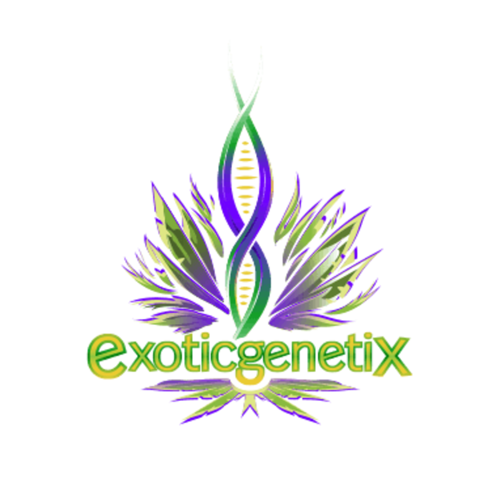 Exotic Genetix Exotic Genetix Tongue Splasher REG 11 Pack