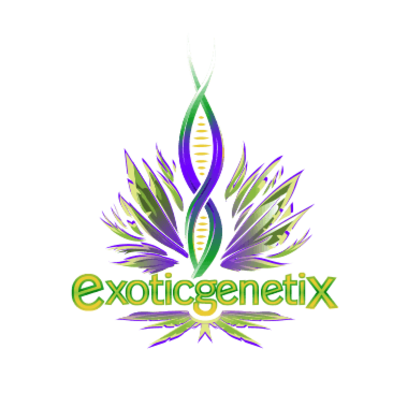 Exotic Genetix Exotic Genetix Bread & Butter FEM 6 Pack