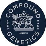Compound Genetics Compound Genetics Blue Pavé FEM 13 Pack