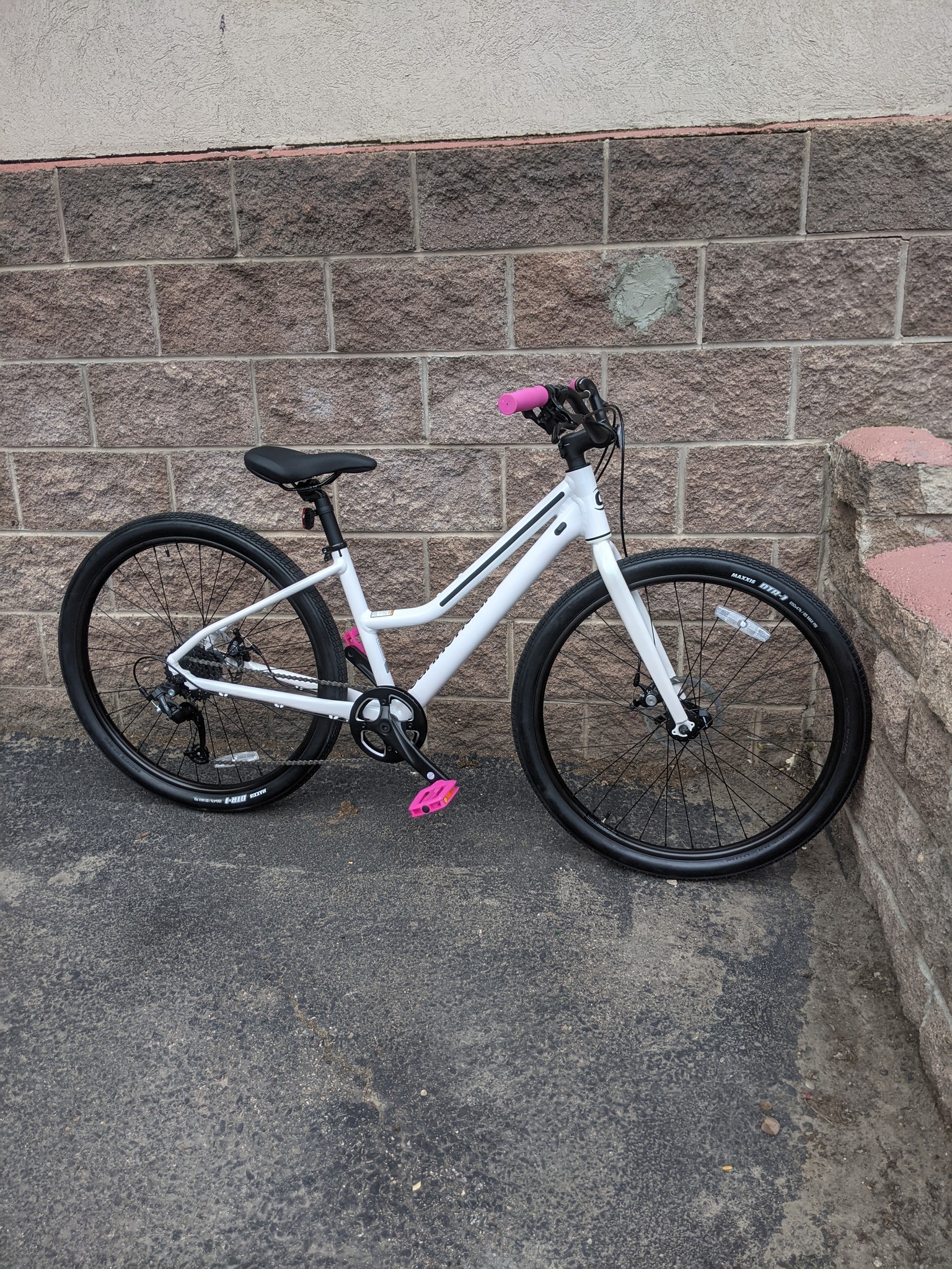 Treadwell 2024 3 review