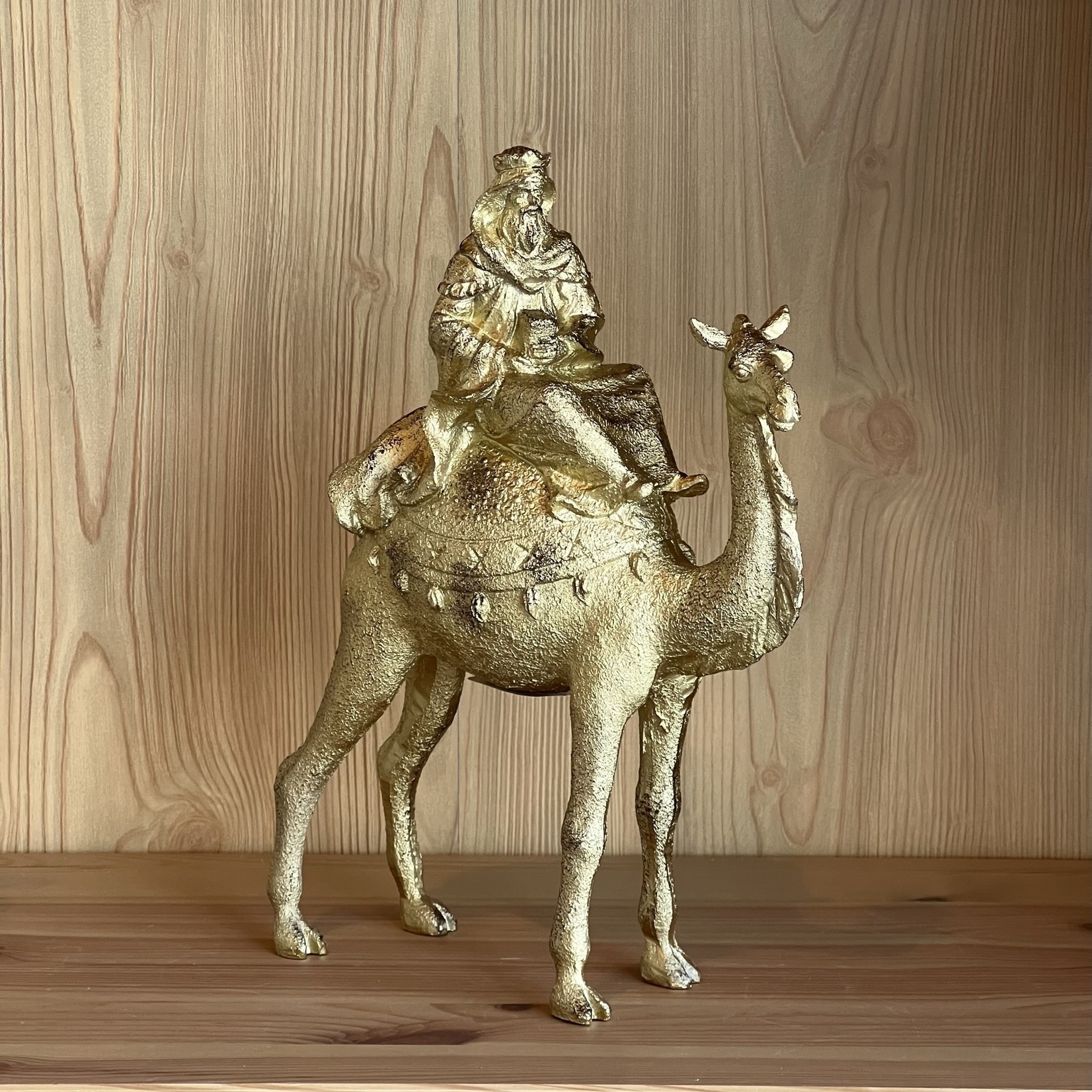 Wiseman on Camel