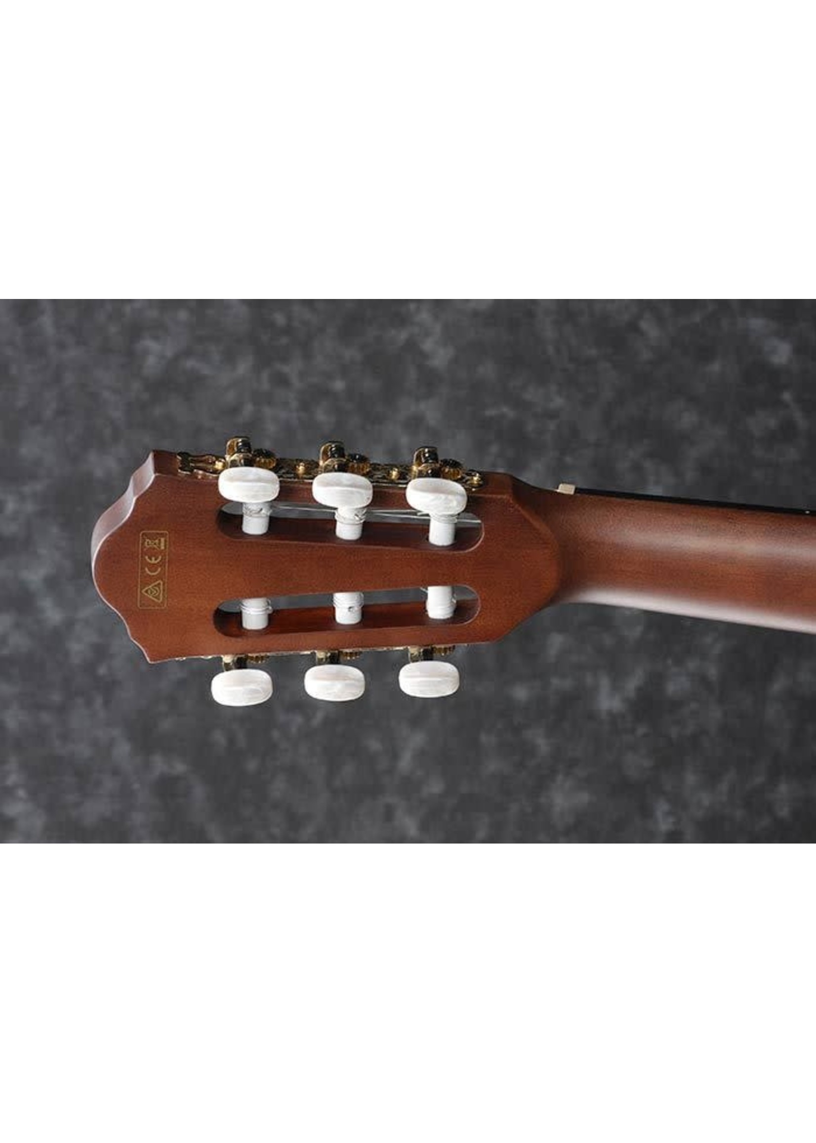 IBANEZ Ibanez AEG50NBKH Single Cutaway Nylon 6-String RH Acoustic Electric Guitar-Black High Gloss aeg-50-nbkh