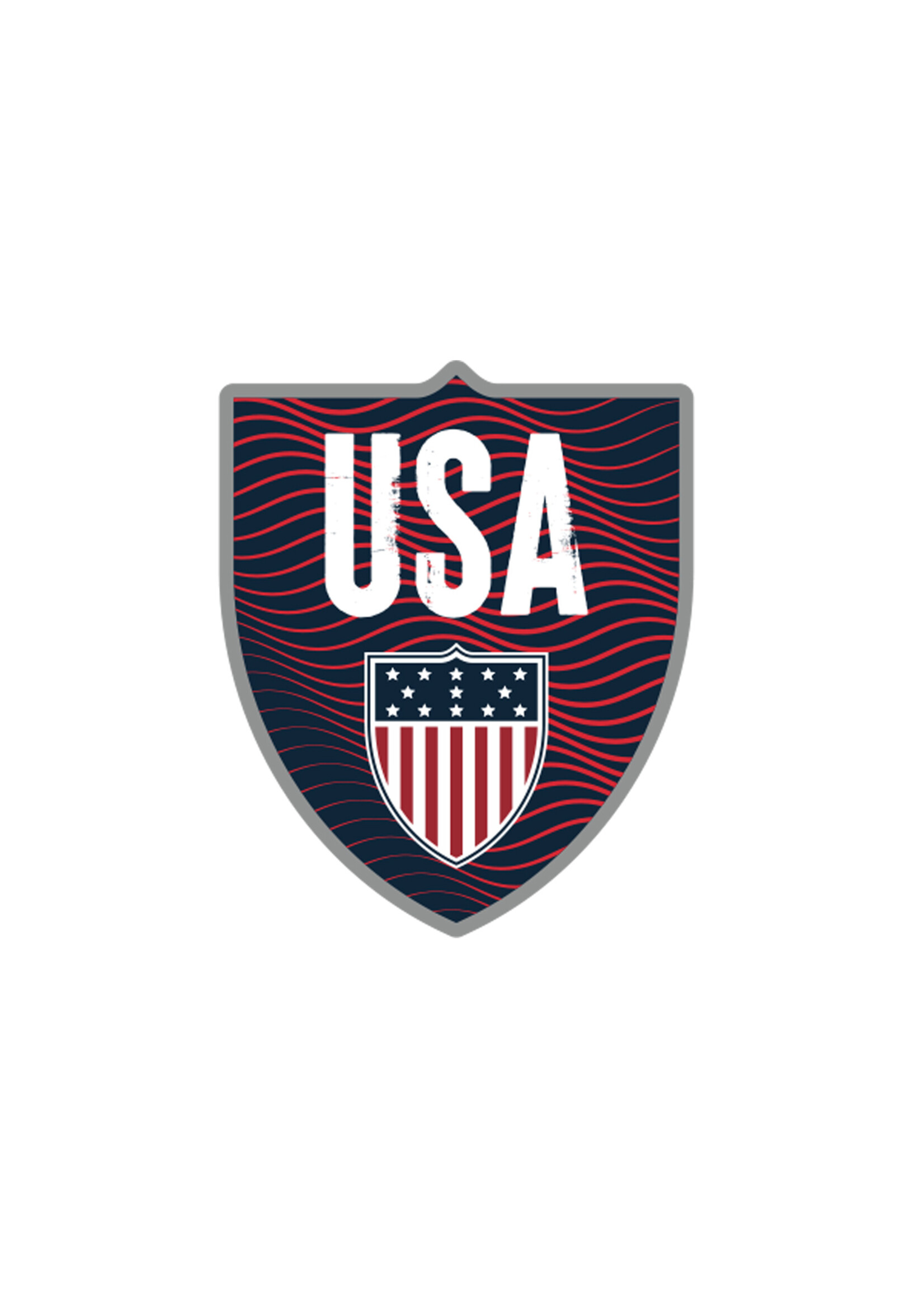 USA Retro Shield Pin