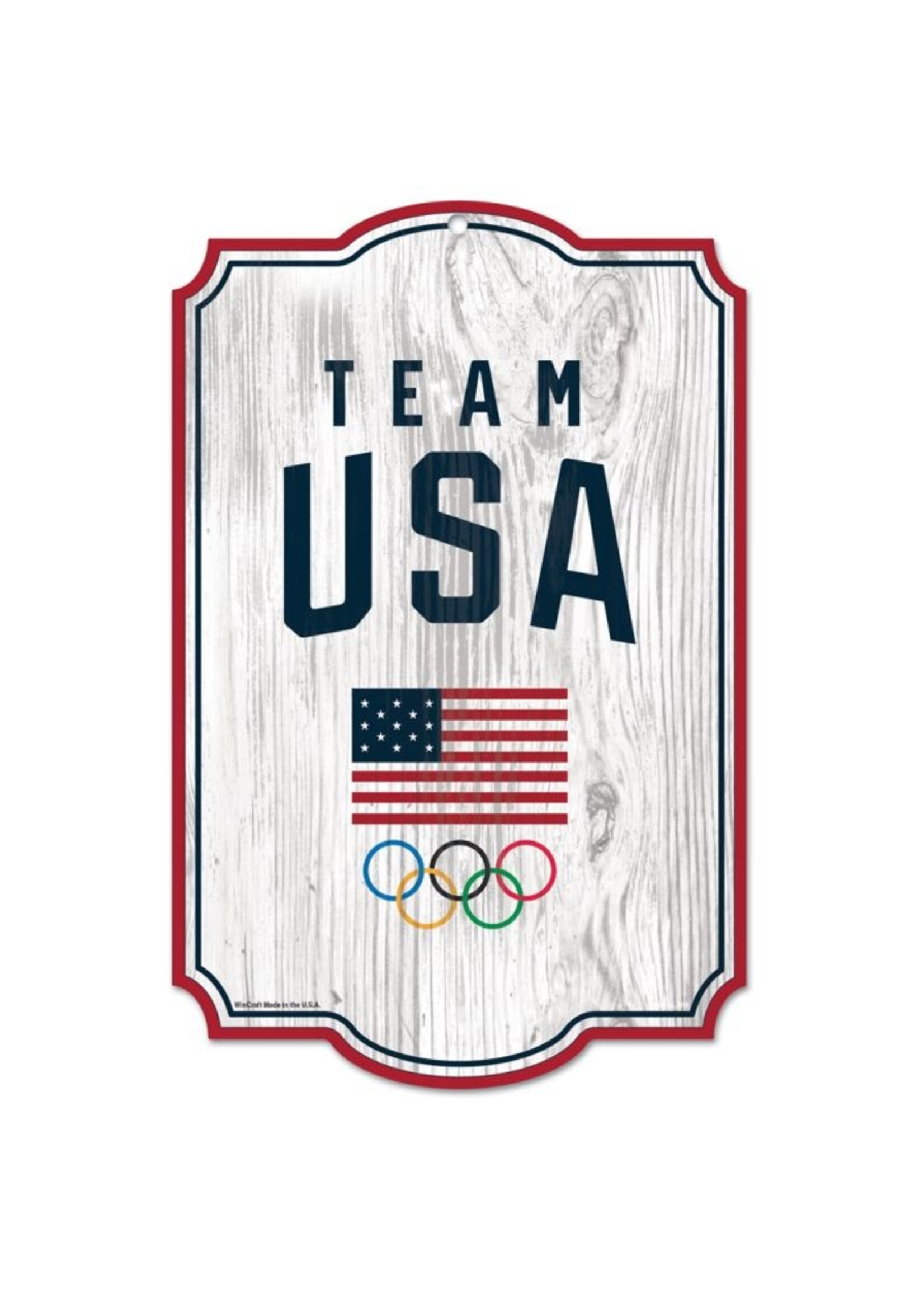 Team USA Logo Wood Sign 11" x 17"