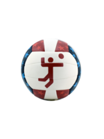 Team USA Mini Stitched Volleyball