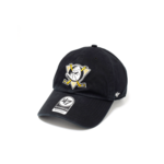 Anaheim Ducks