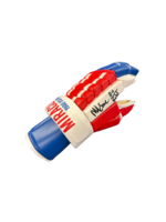 Eruzione Signed Miracle on Ice Hockey Glove