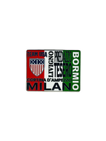 Team USA Shield and Italian Flag Pin