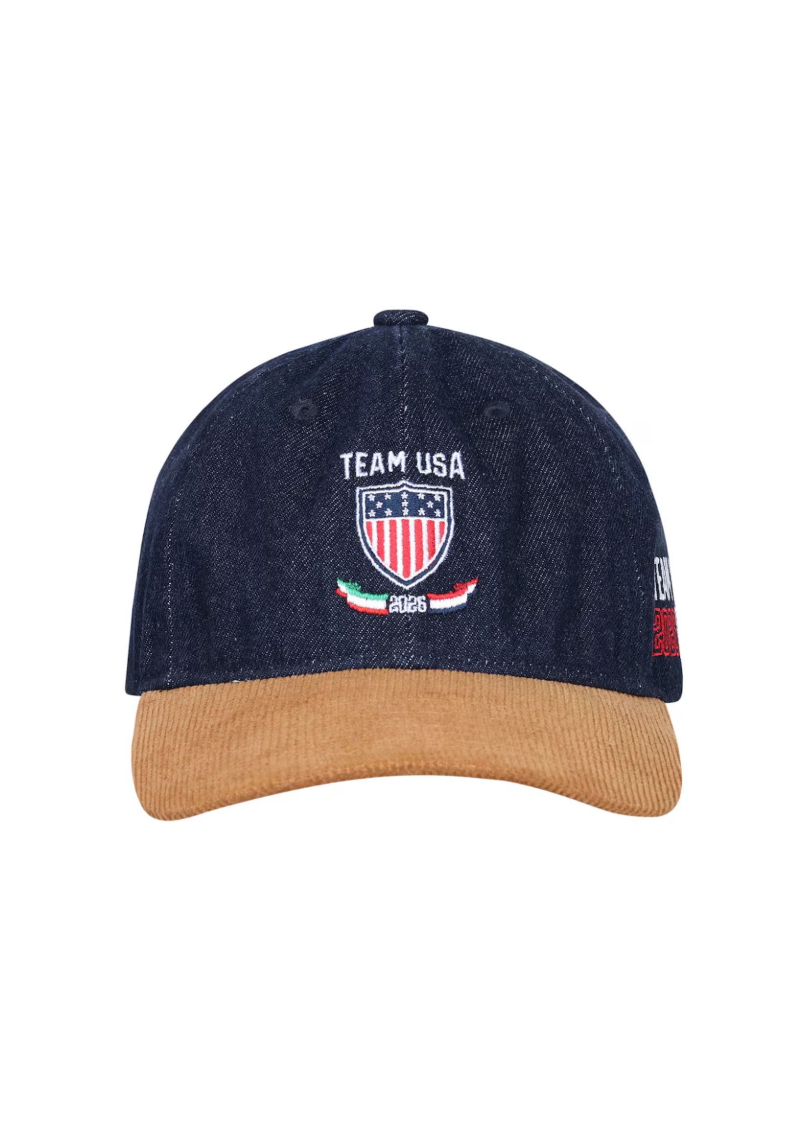 Team USA Milano Cortina 2026 Dad Cap