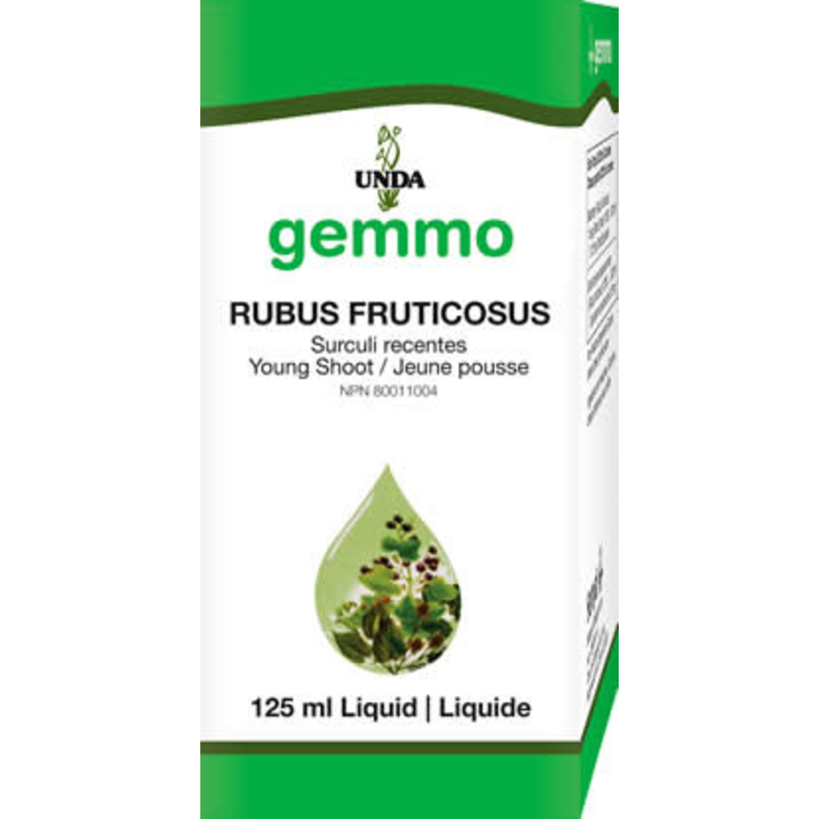 GEMMO GEMMO RUBUS FRUCTICOSUS 125 ML