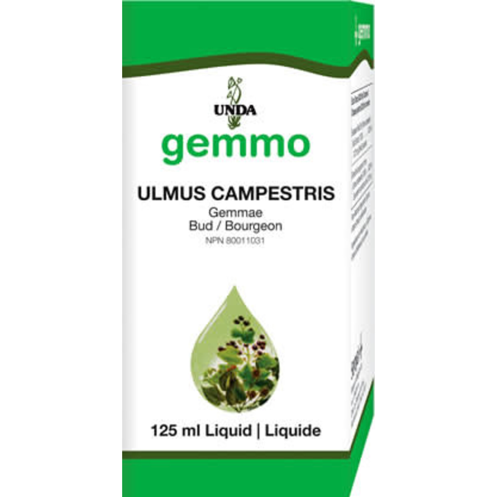 GEMMO GEMMO ULMUS CAMPESTRIS 125ML