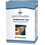 UNDA UNDA GAMMADYN MG 30 AMPOULES