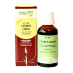 HERBALGEM HERBALGEM CEDRUS LIBANI G38 30ML